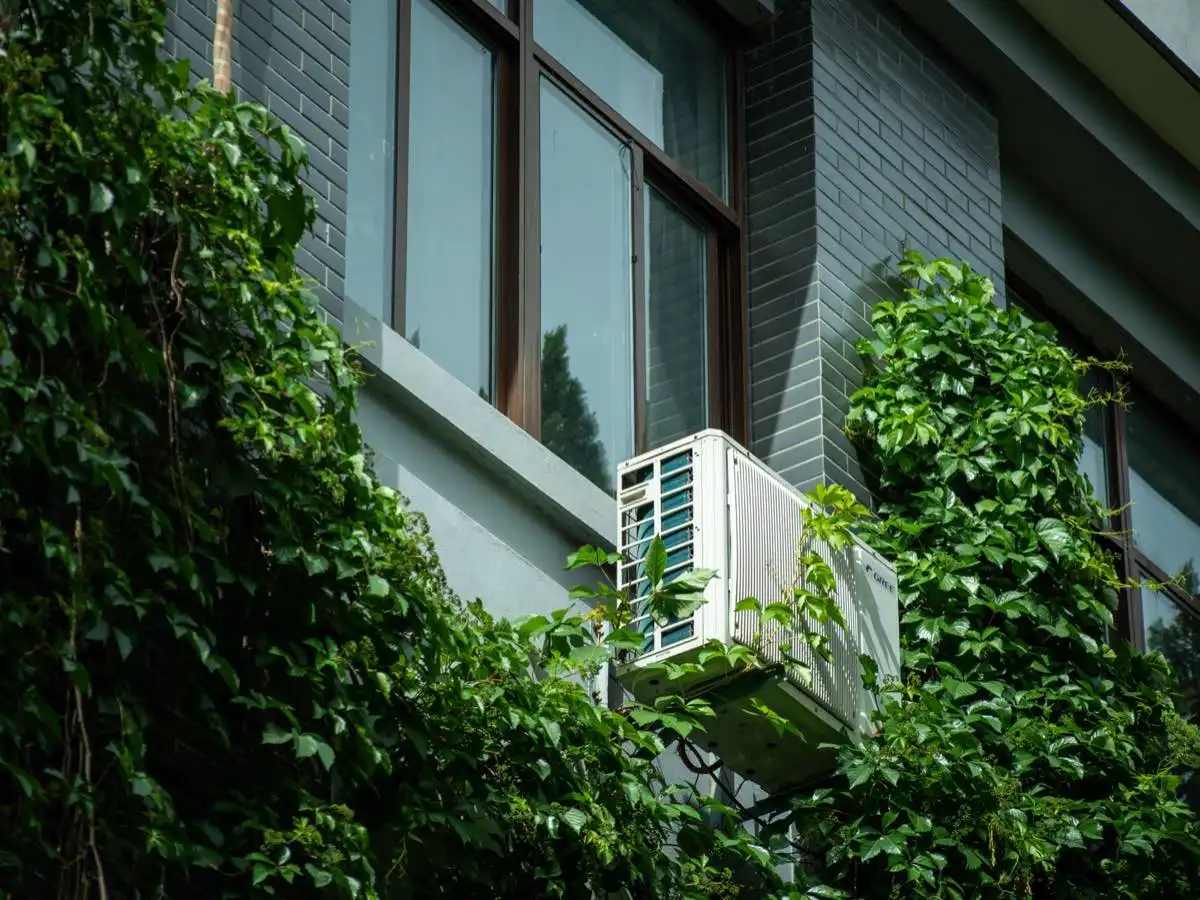 Energy-Efficient Windows in Schenectady, NY
